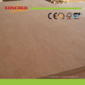 Precio promocional Nice Design of Veneer Plywood Door